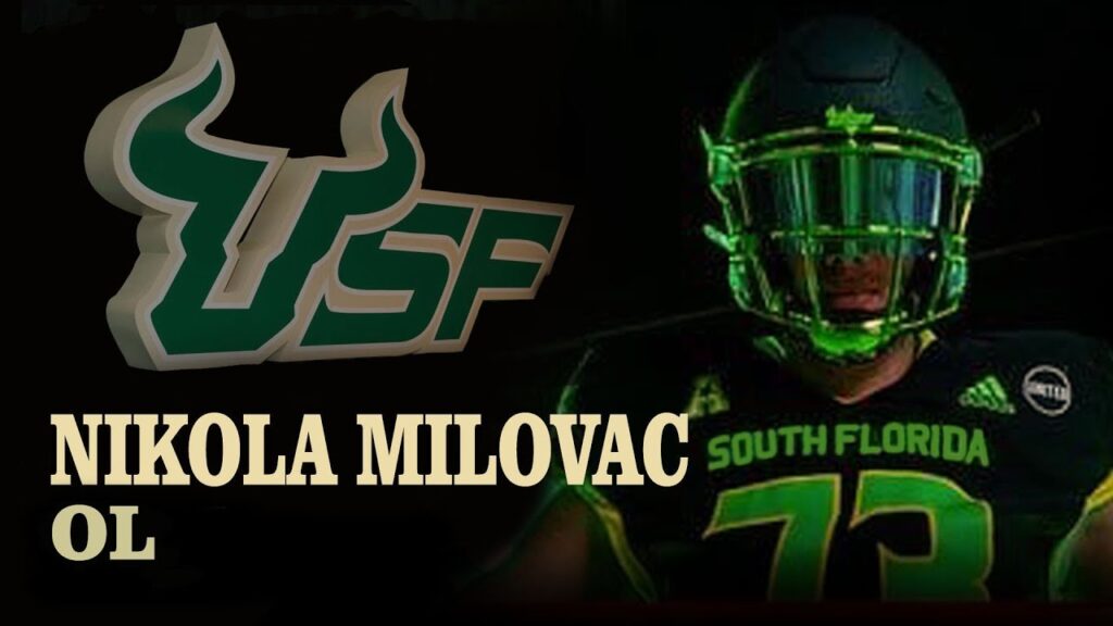 nikola milovac university of south florida