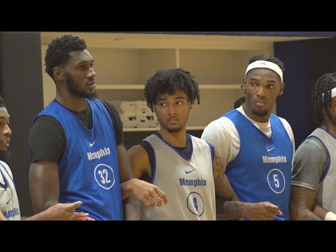 one on one with memphis basketballs pj haggerty