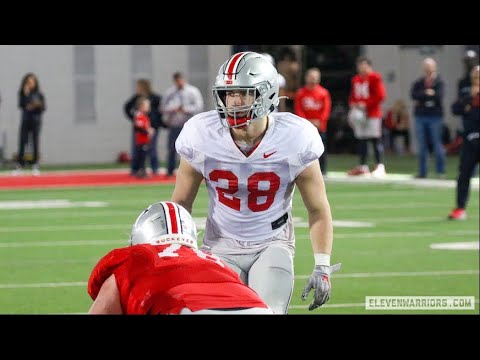 reid carrico full 2022 2023 highlights ohio state lb