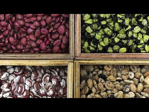 seed savers farm to fork wyoming