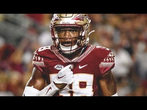 shyheim brown 2023 fsu highlights