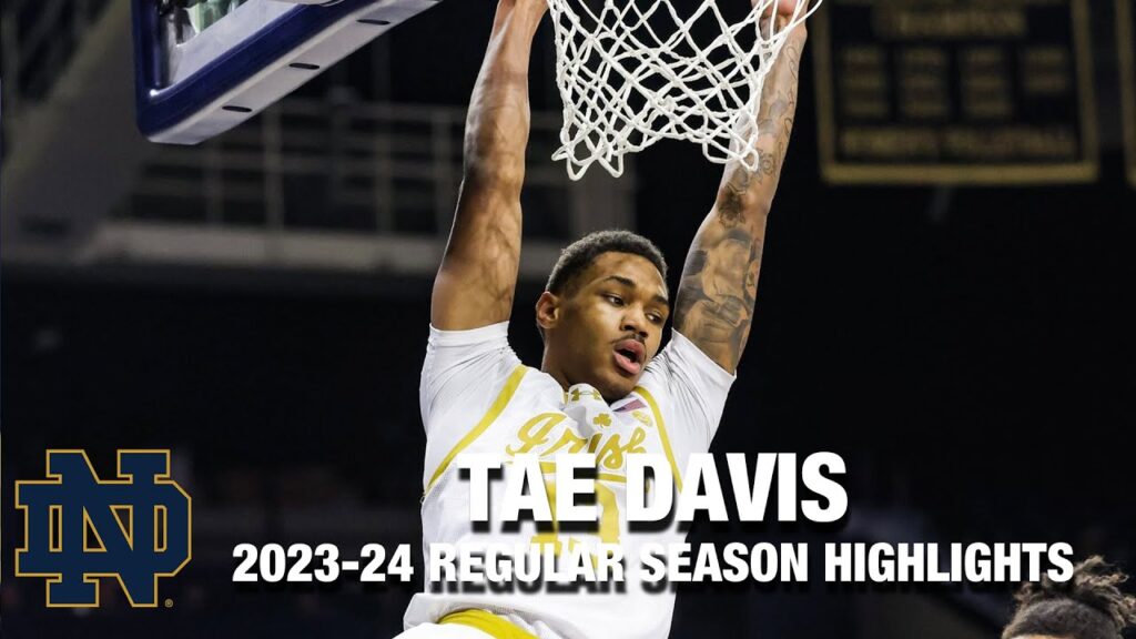 tae davis 2023 24 regular season highlights notre dame forward