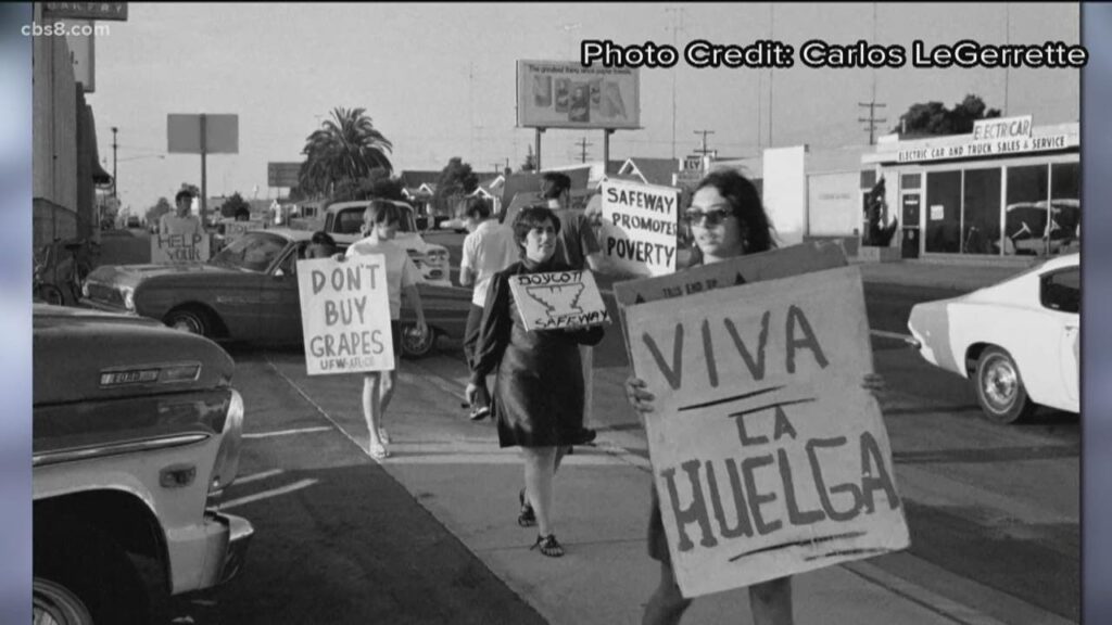 this san diego couple worked with cesar chavez