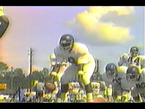 tracy ham story wuft tv 1986