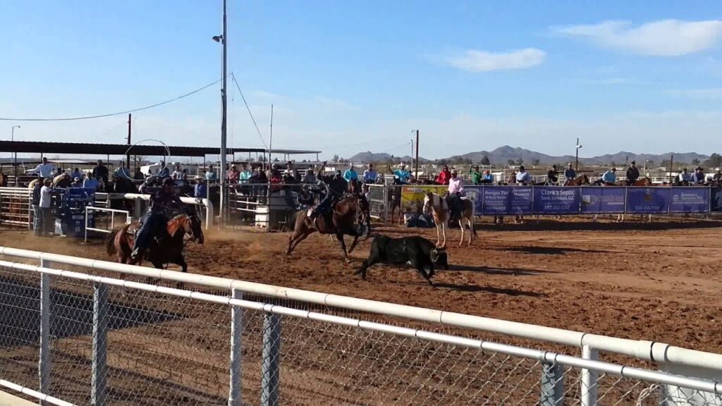 tucker being ridden by reed heeler is cole sherwood