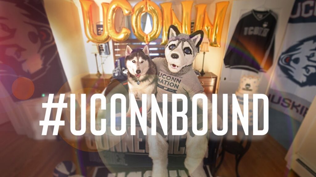 welcome to uconnnation uconn