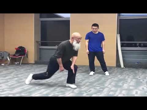 xinyi liuhe basic stepping by master yang hai ming