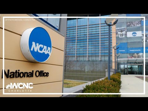 college athletes who transfer twice can play for now after a judge sets aside ncaa transfer rule 1