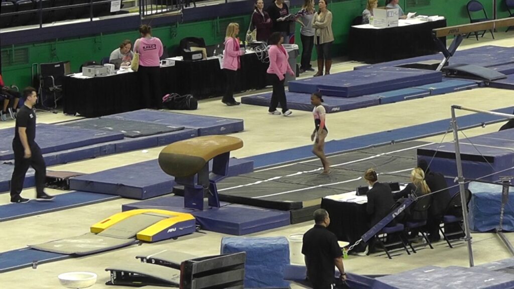 jamison sears vault 2017 elite qualifier greensboro