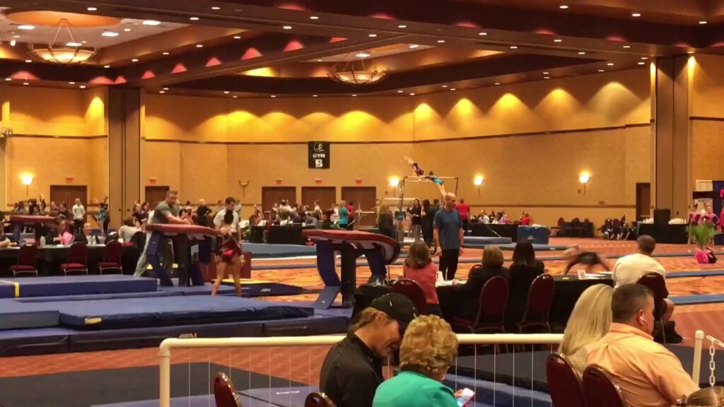 natalia pawlak level 10 woga classic 2017 vault