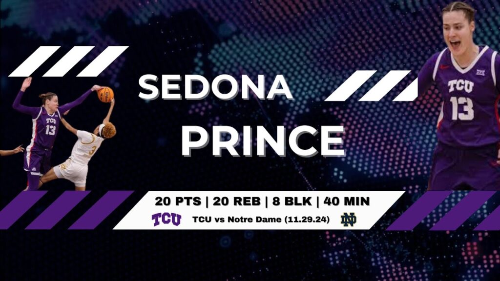 sedona prince 20 pts 20 reb 8 blks 4 ast 3 stl 40 min vs notre dame 11 29 24