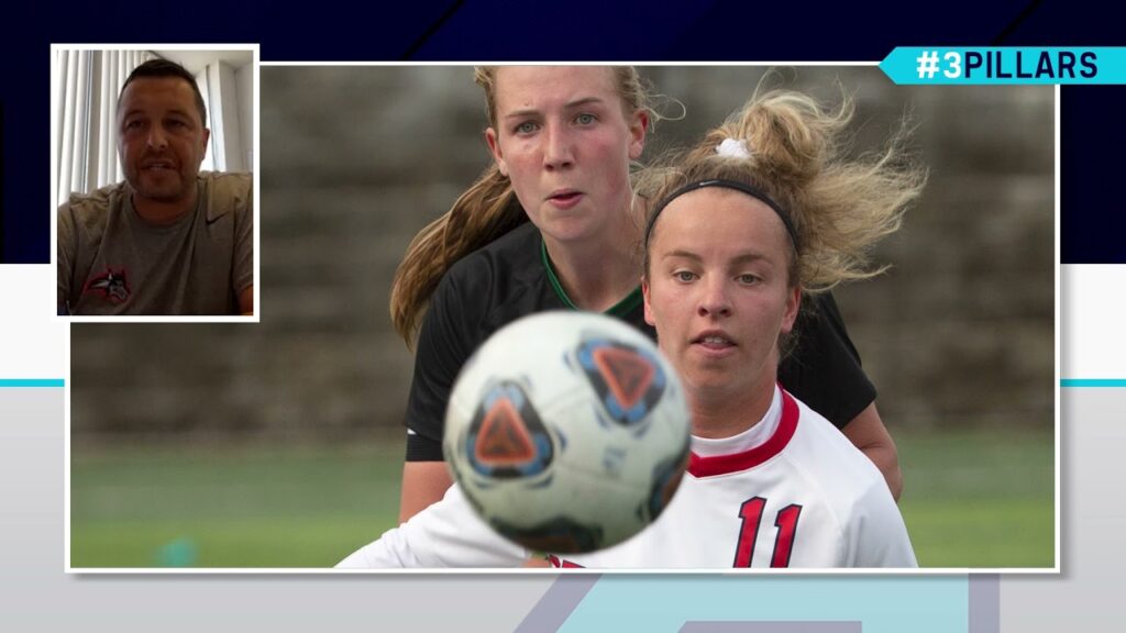 stony brook preseason aewsoc favorites