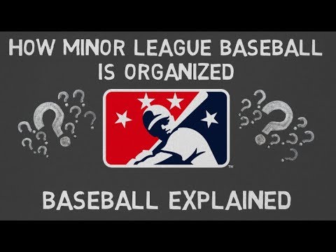 how minor league baseball is organized baseball